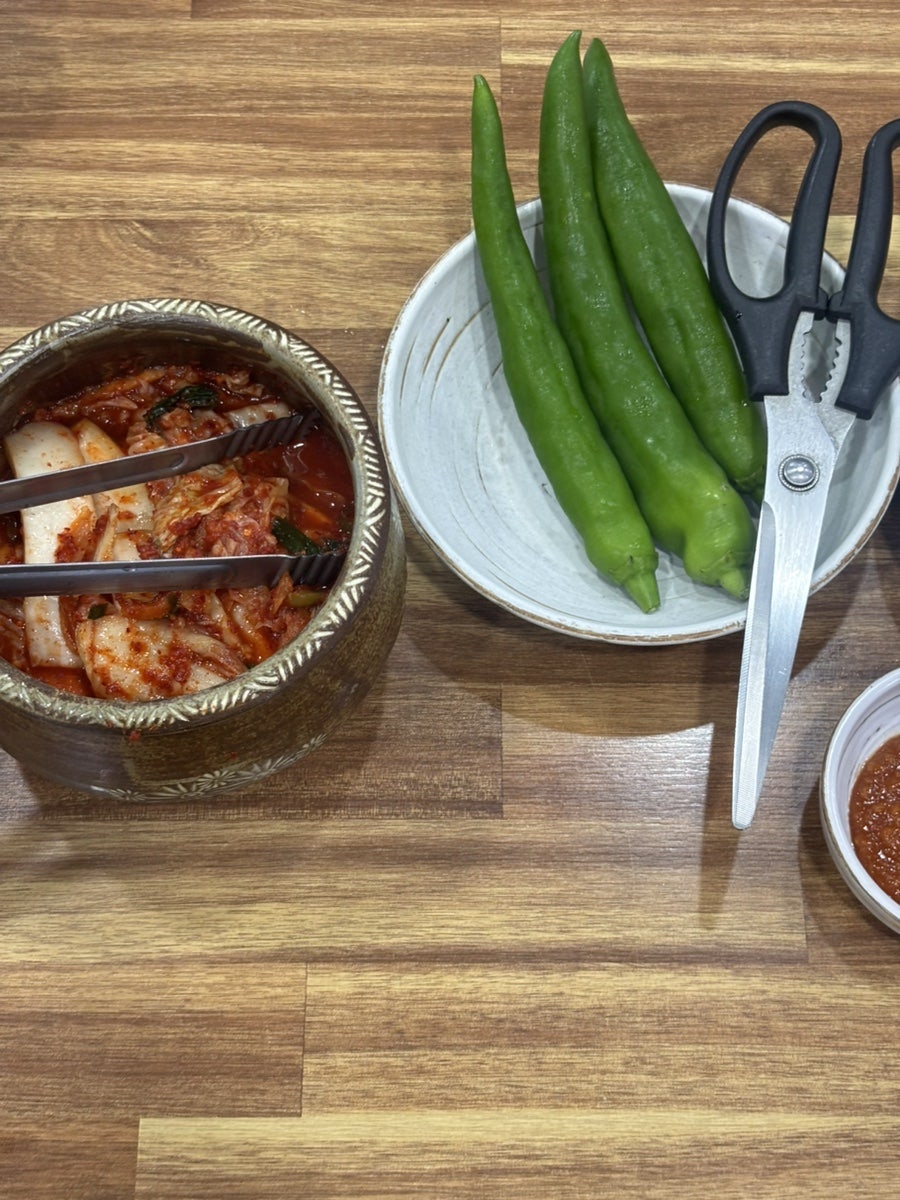 제갈콩명 사진 4