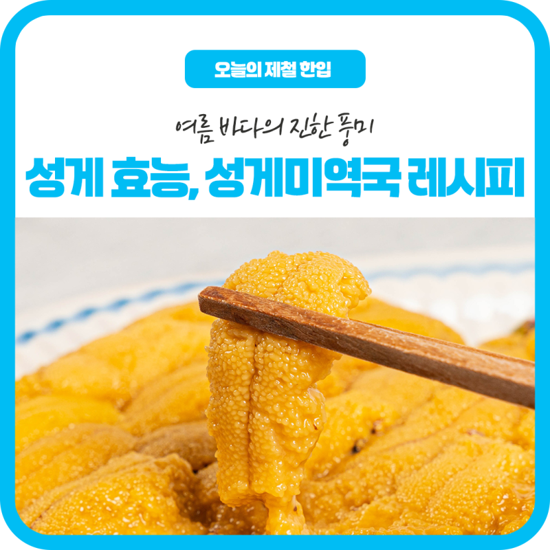 여름 바다의 진한 풍미, 성게 효능과 성게미역국 레시피
