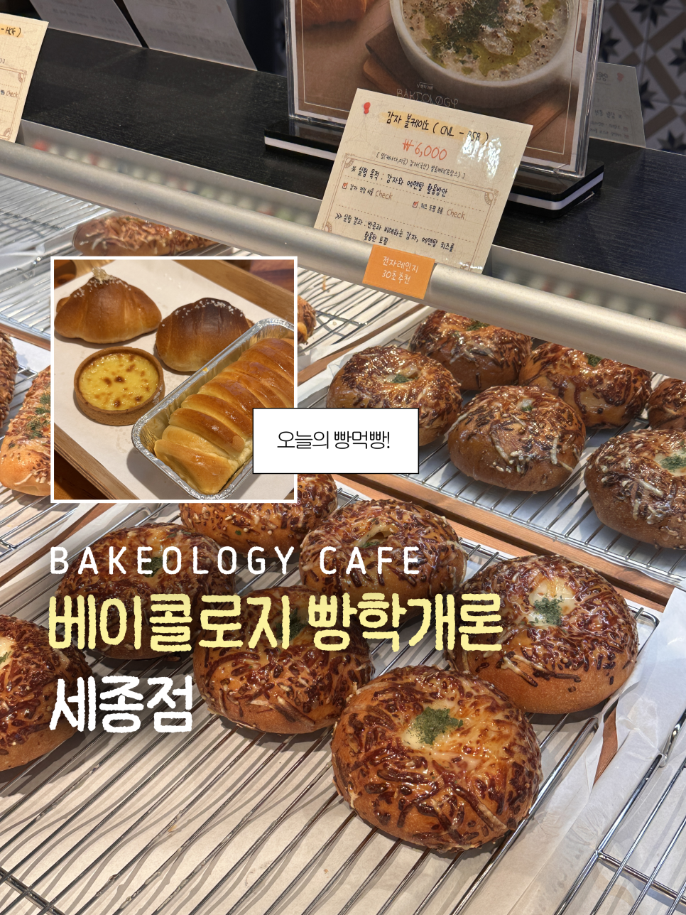 베이콜로지 빵학개론 세종점 사진 1