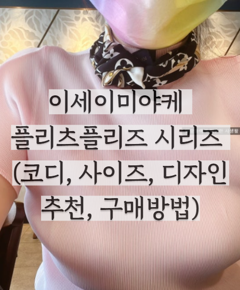 여름 문신템 이세이미야케 플리츠플리즈 시리즈 코디 (사이즈 추천, 디자인 추천, 구매방법)