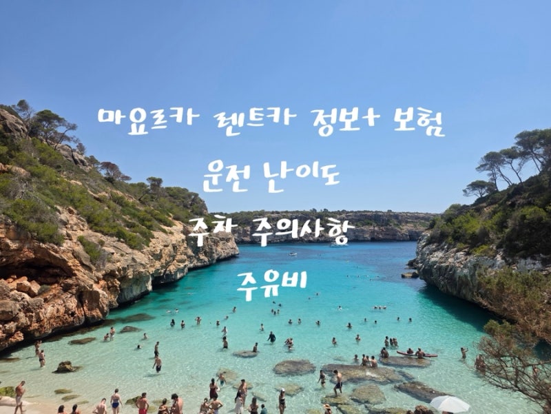 마요르카 렌트카 정보, 보험, 운전 난이도, 주차 주의사항! + 주유비