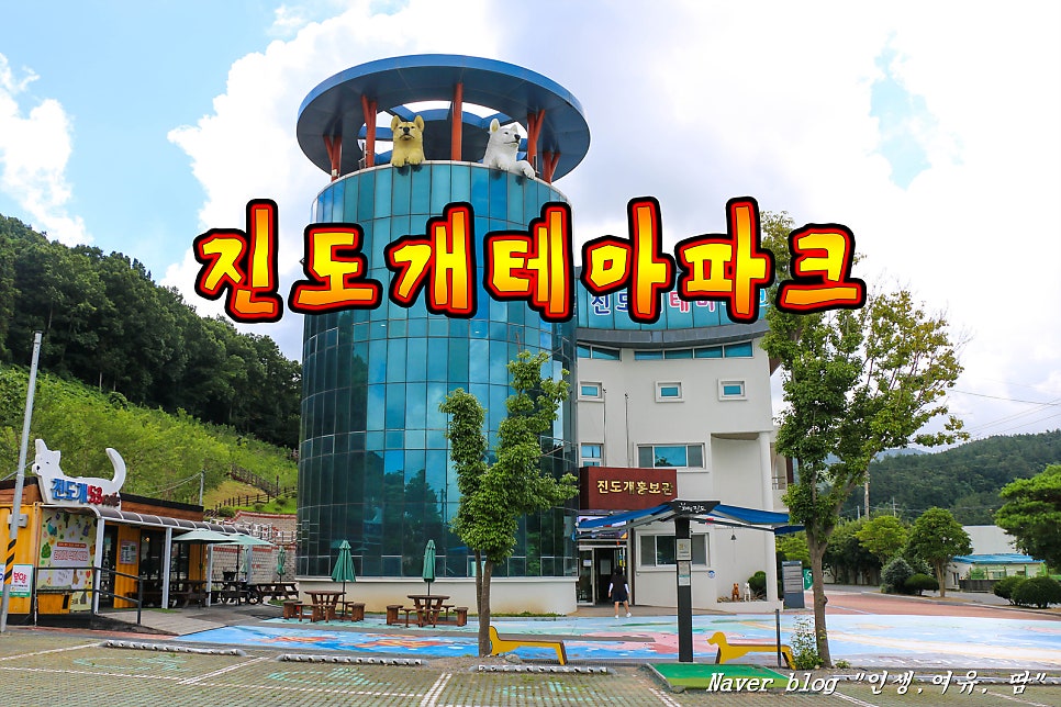 진도개홍보관 사진 1