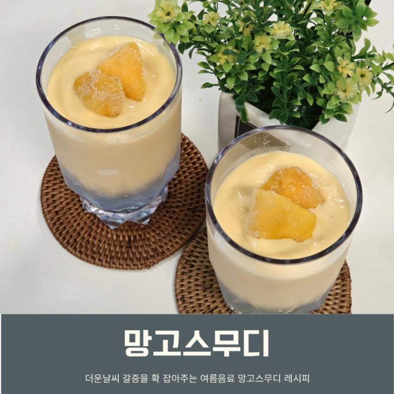 냉동망고 스무디 레시피 요거트 스무디 더운날씨 여름음료 만들기