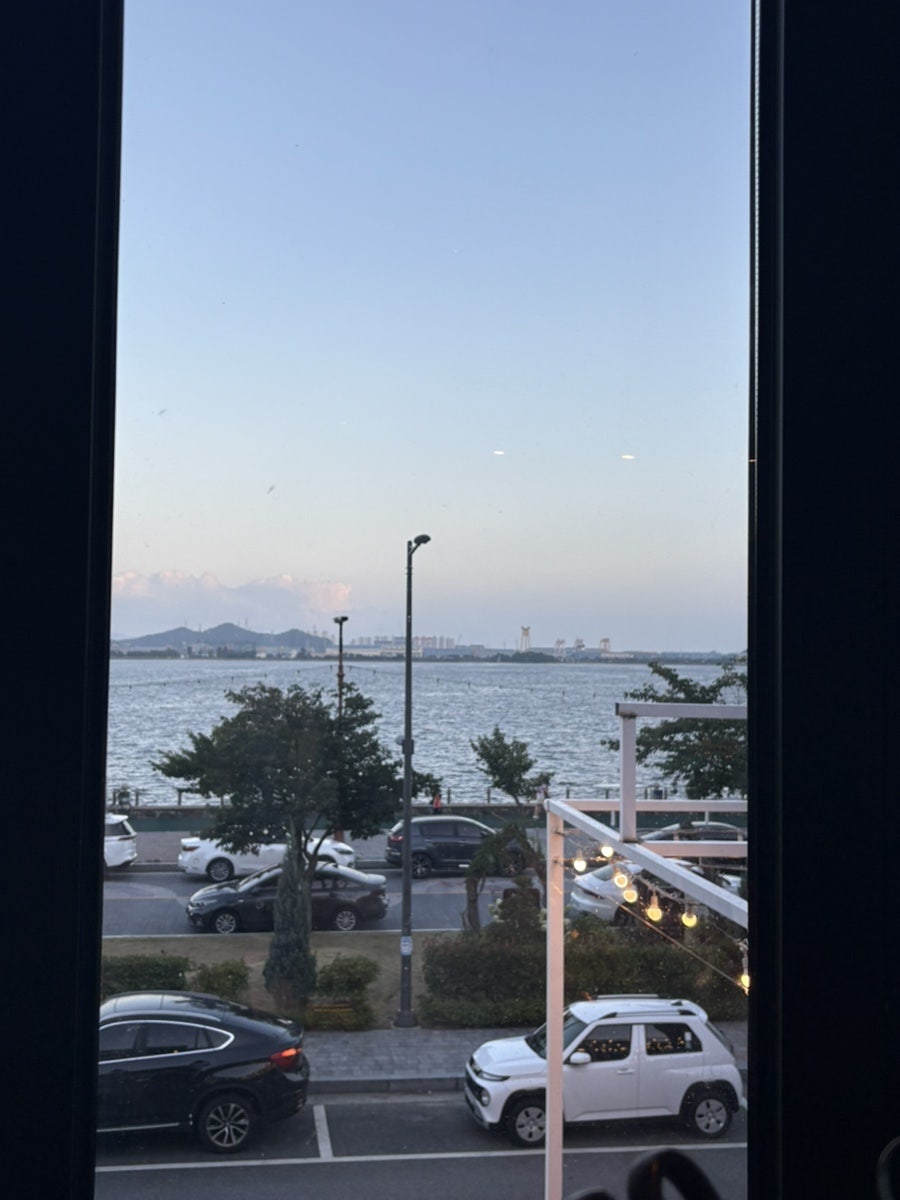 목포씨 사진 6