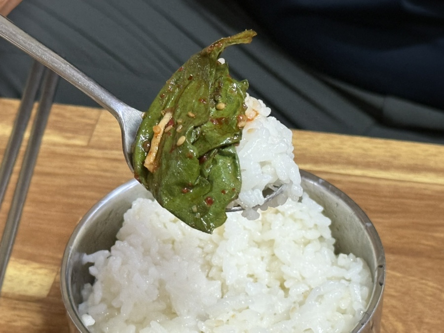 산골버섯 사진 6