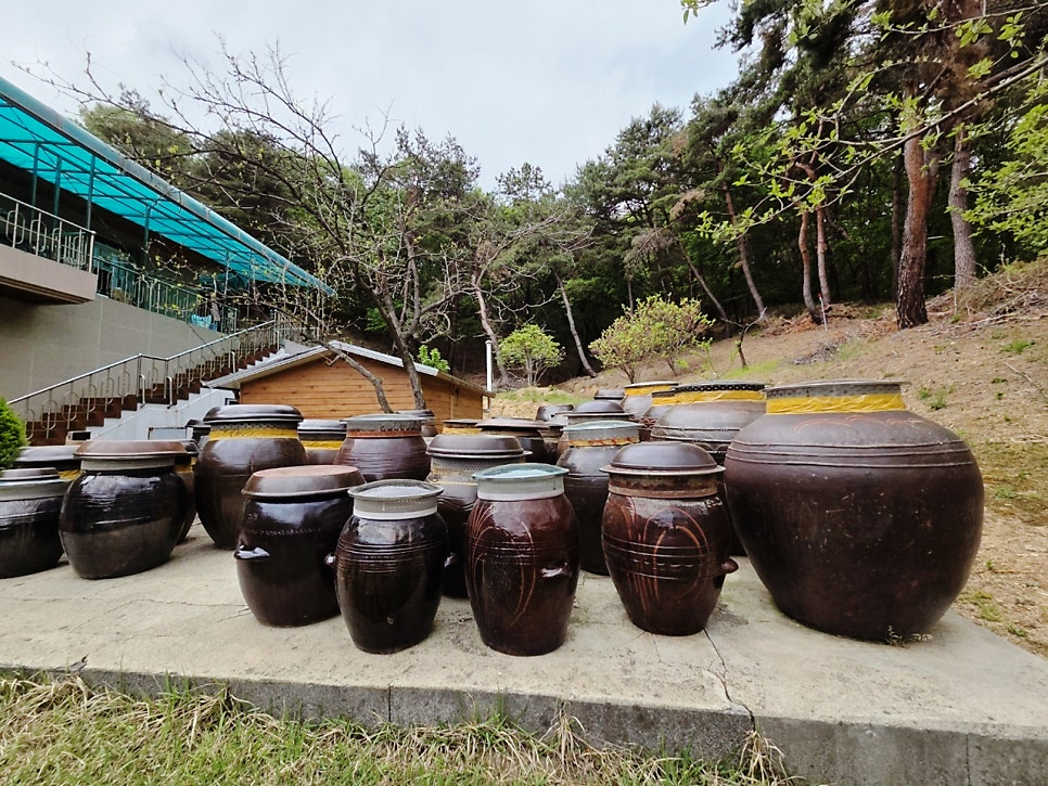 도깨비정원 사진 3