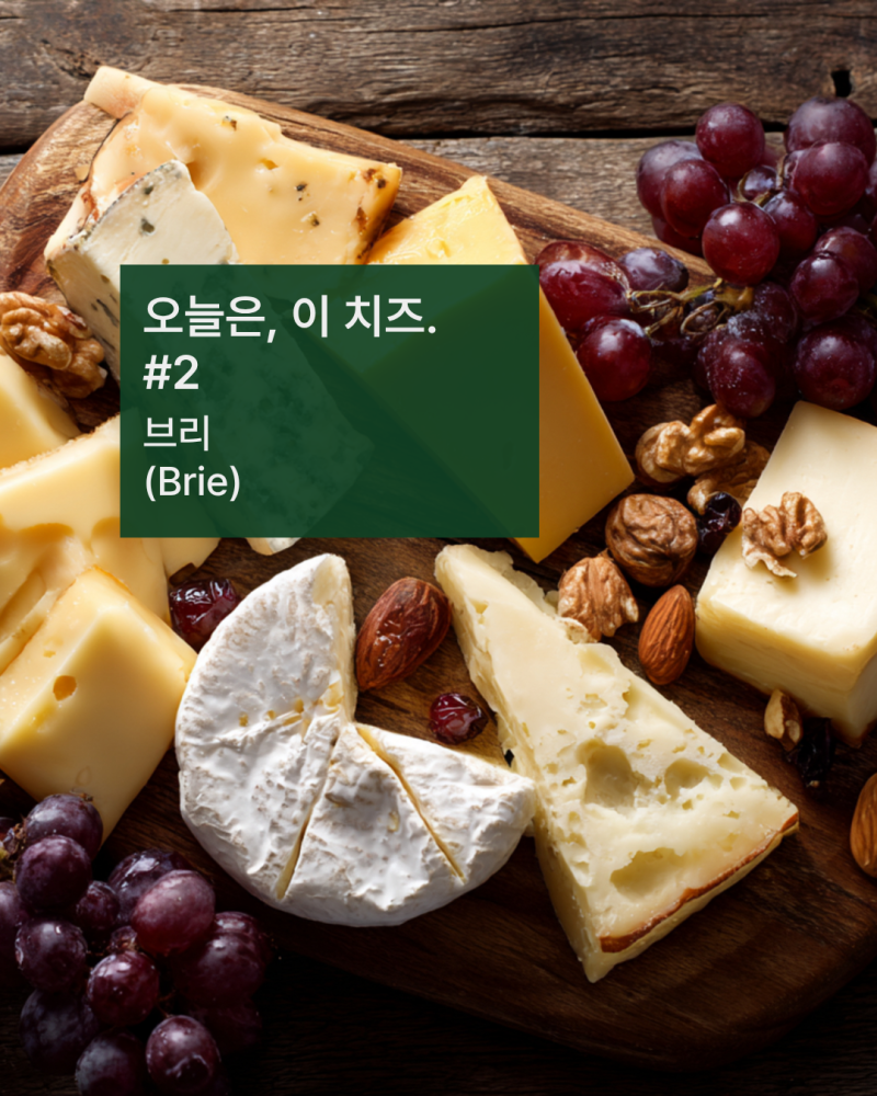 브리(Brie)란? 껍질까지 먹는 프랑스 대표 치즈 | 오늘은 이 치즈 #2