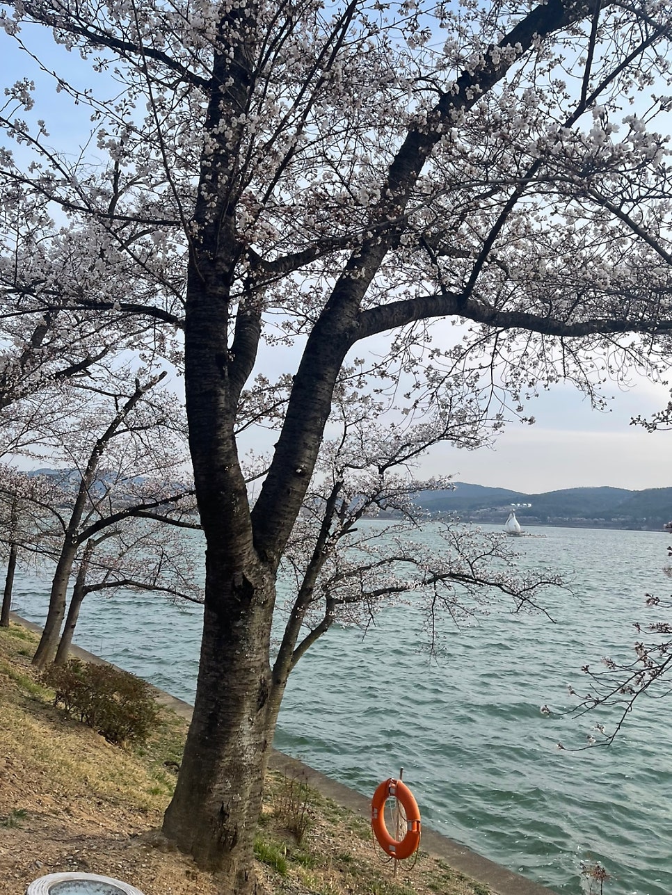 용명횟집 사진 2