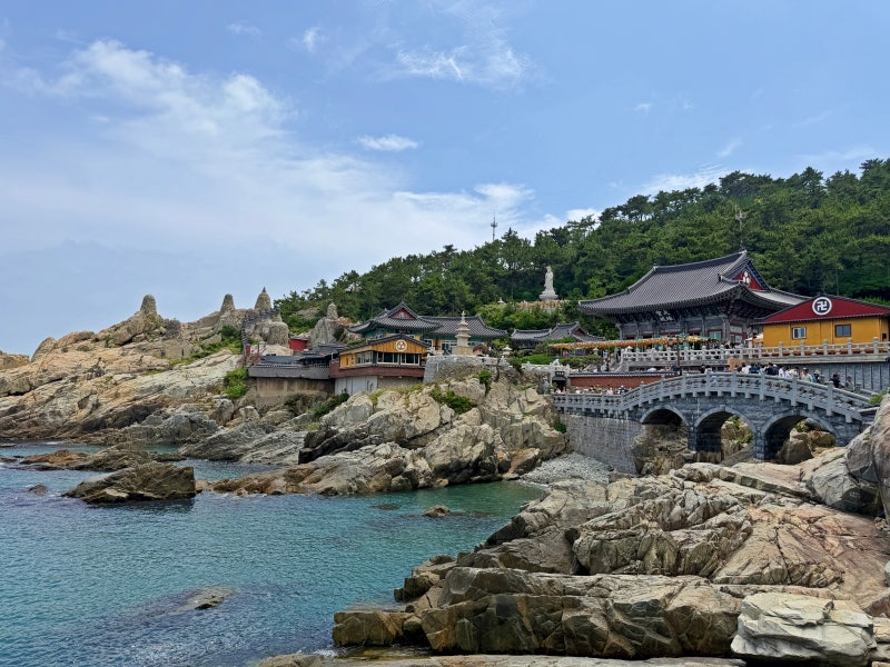 [부산] 해동용궁사 주차장 입장료 운영시간 바다 절벽 사찰 후기 기장 가볼만한 곳