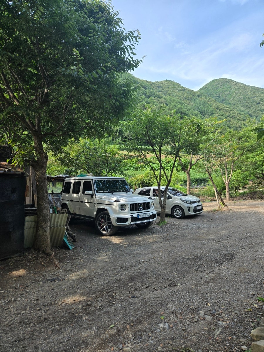 산골초가펜션 사진 2