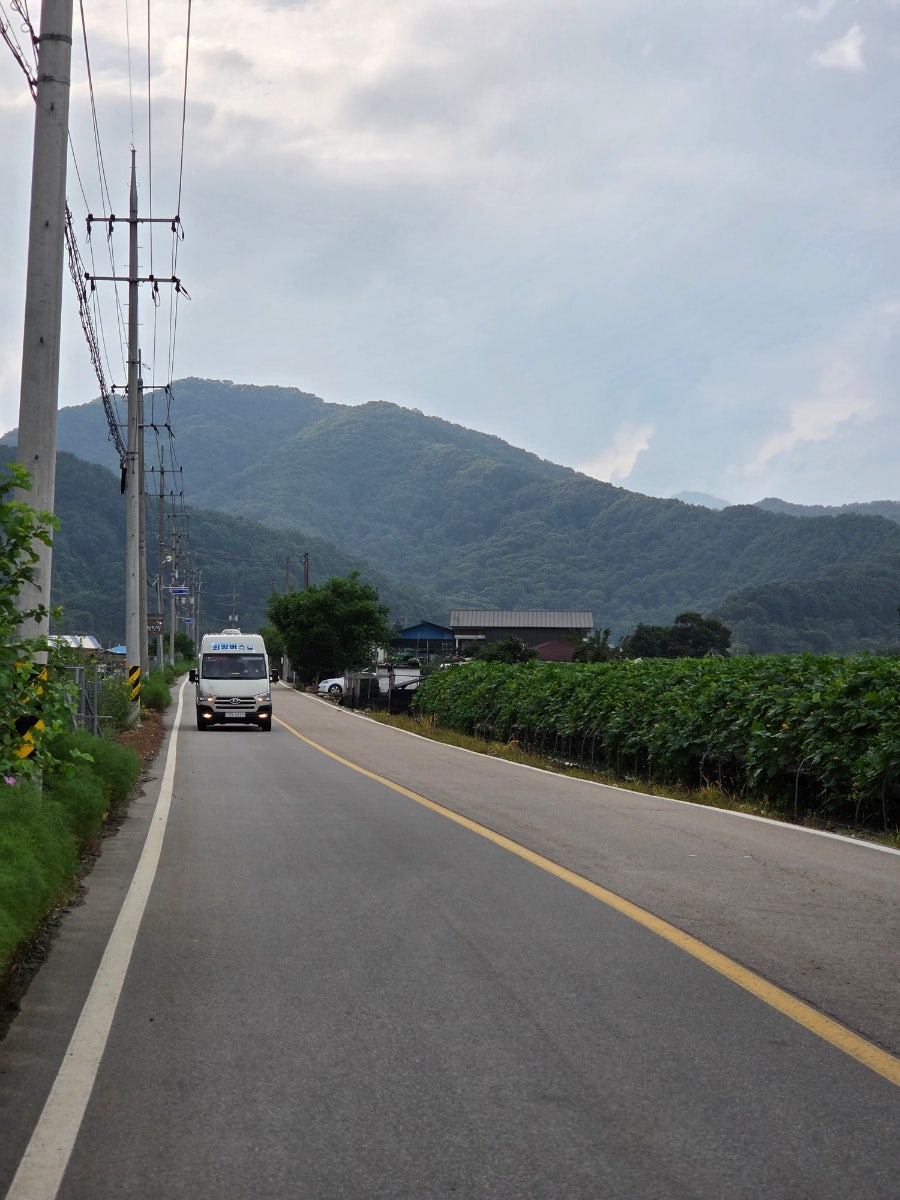 비룡 사진 2