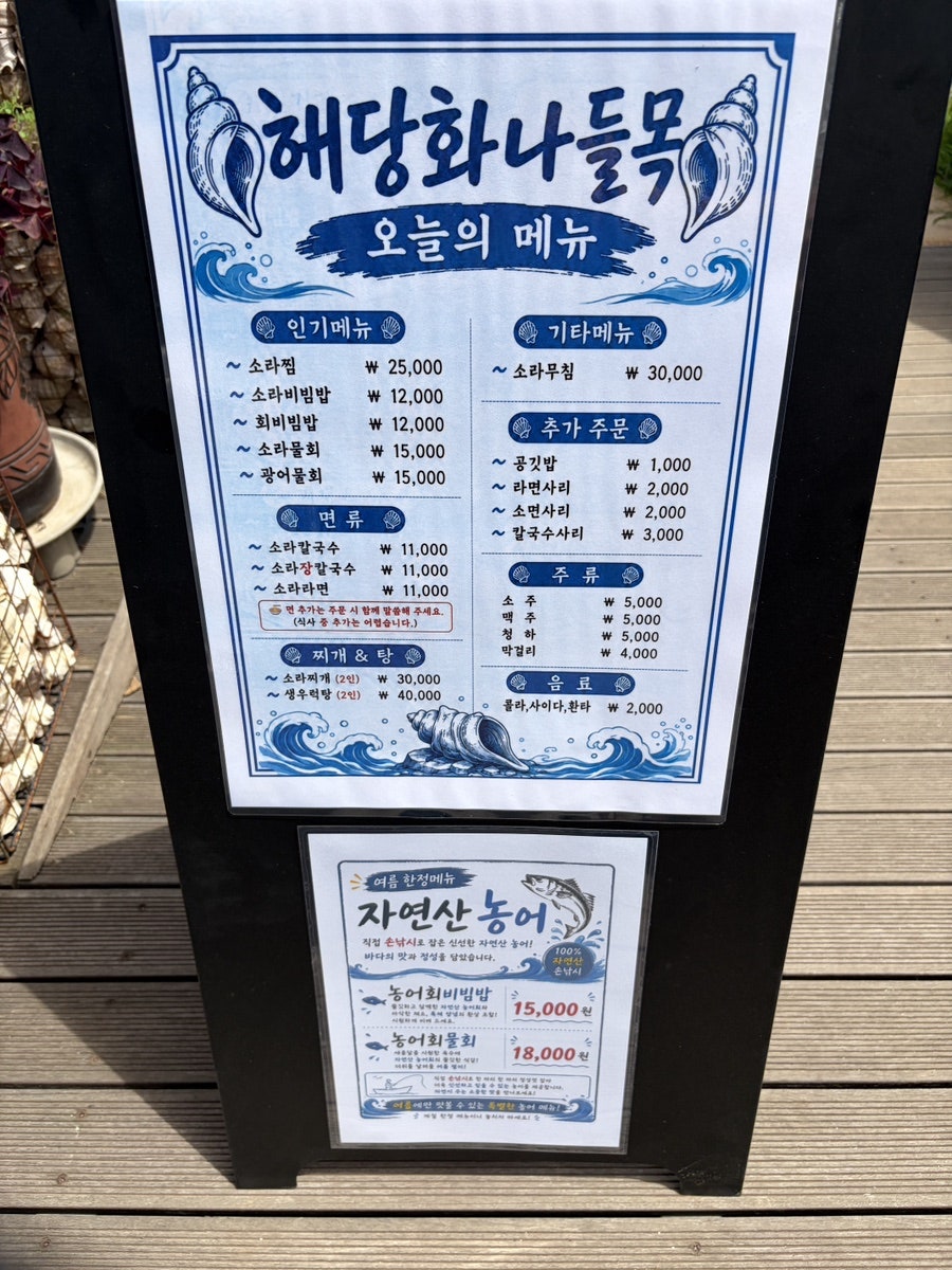해당화 사진 5