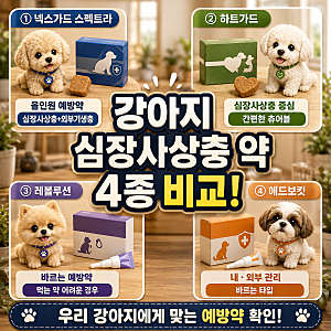 강아지 심장사상충 약 총정리! 종류·가격·예방 시기·검사 비용·넥스가드 비교!