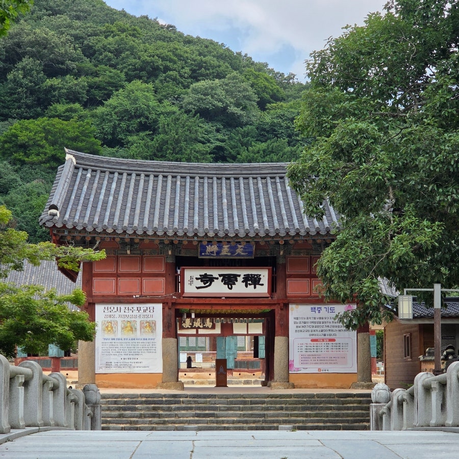 바지라기 사진 2