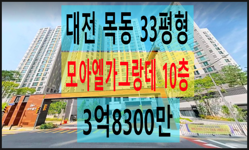 그랑데 사진 1