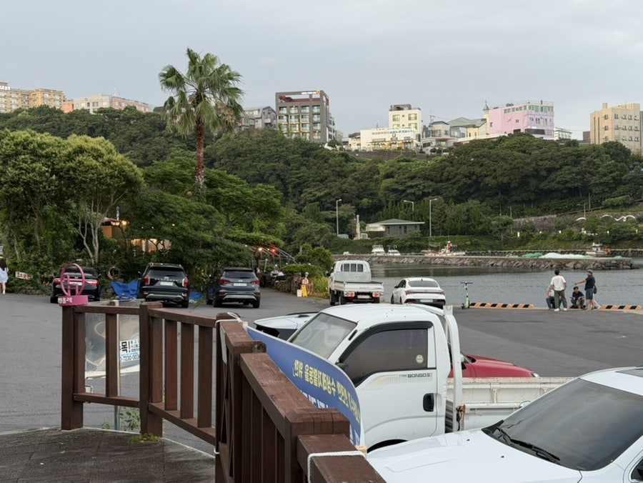 로즈마린 사진 2