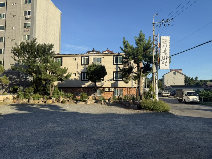 산골버섯 사진 2