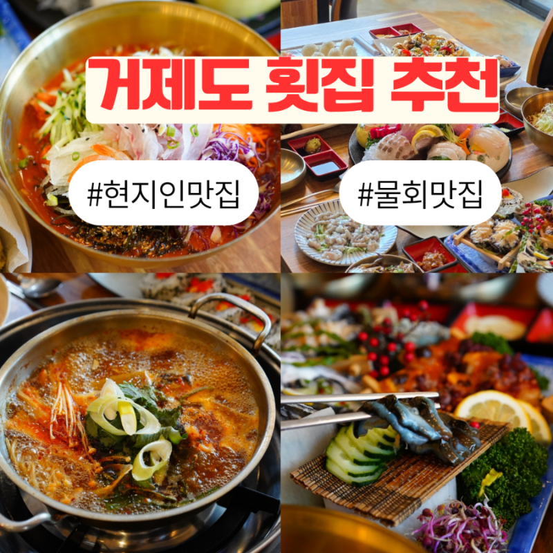 거제도 횟집 추천! 현지인 맛집에서 즐긴 신선한 물회 초정명가