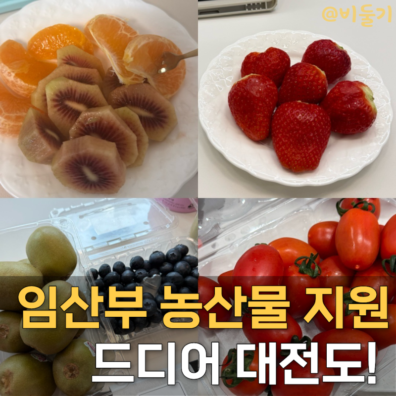 대전 임산부 혜택 친환경농산물 지원 사업 드디어..! 내용 및 신청방법