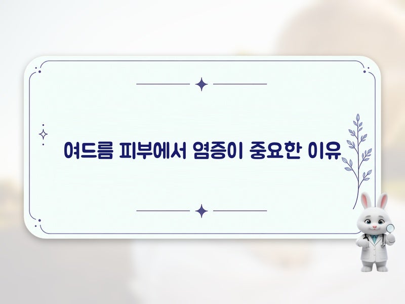 여드름 피부에 오메가-3가 도움이 되는 이유: 염증피지 균형과의 연결