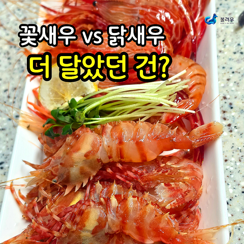생일상에 독도새우 한 접시, 꽃새우와 닭새우의 뜻밖의 차이