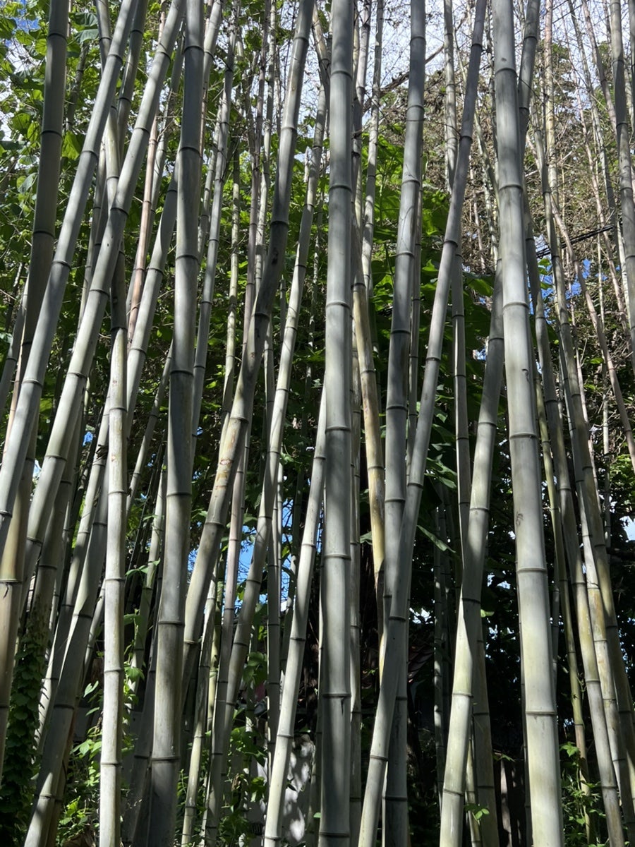 풍류소제 사진 3