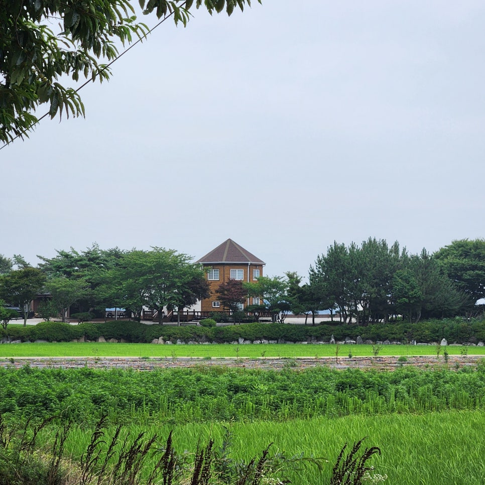 마실 사진 4