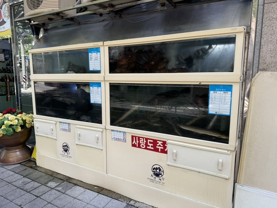 사랑도횟집 사진 2