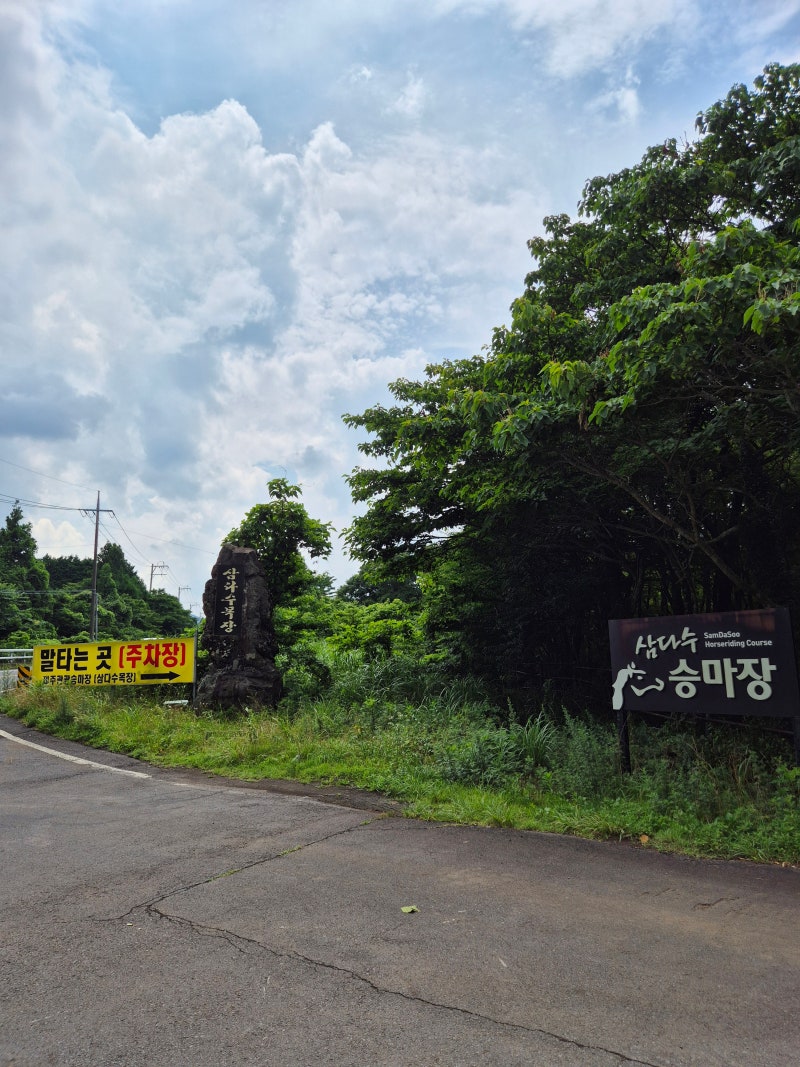 제주 삼다수목장 승마체험 | 코스·가격·주의사항 (반바지 금물)