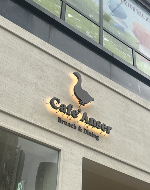안세르 사진 2