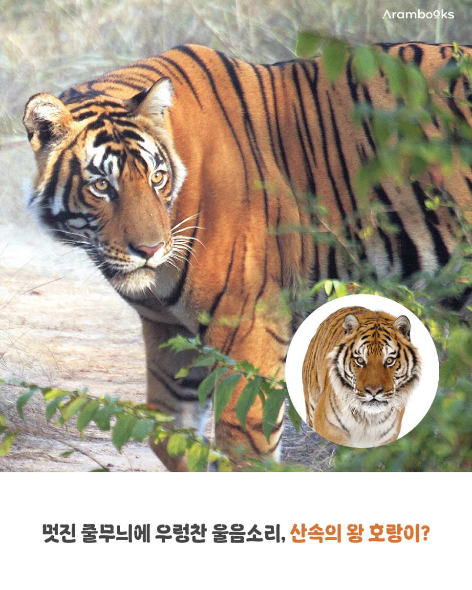 전집 사진 4
