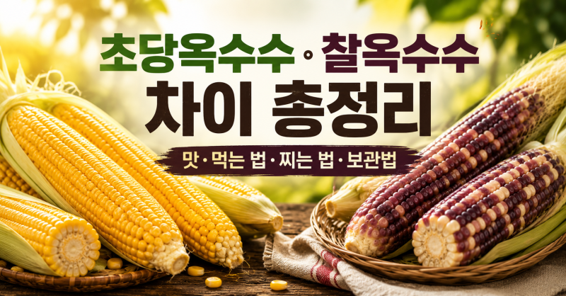 초당옥수수·찰옥수수 차이 총정리｜맛·먹는 법·찌는 법·보관법