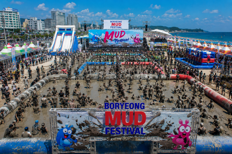 2026 보령머드축제 일정·입장료｜바로예매·환불·물품보관함·주차 | 반려견 동반