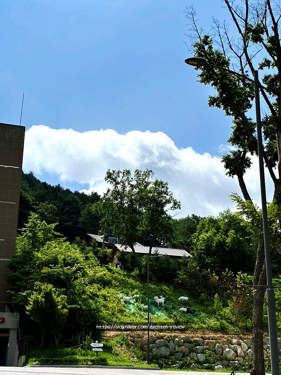 산850 사진 4
