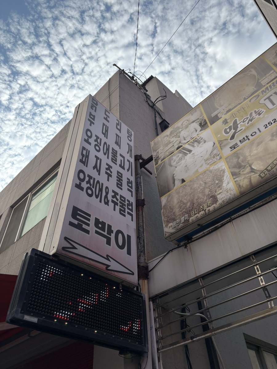토박이 사진 1