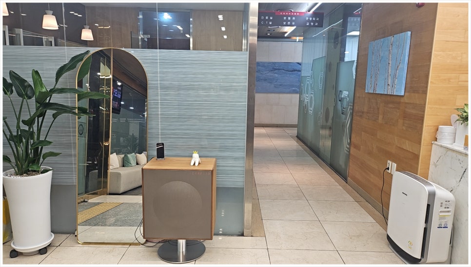 분당동치과, 치아 1개가 빠졌다면 브리지와 임플란트 선택 기준 4가지는?
