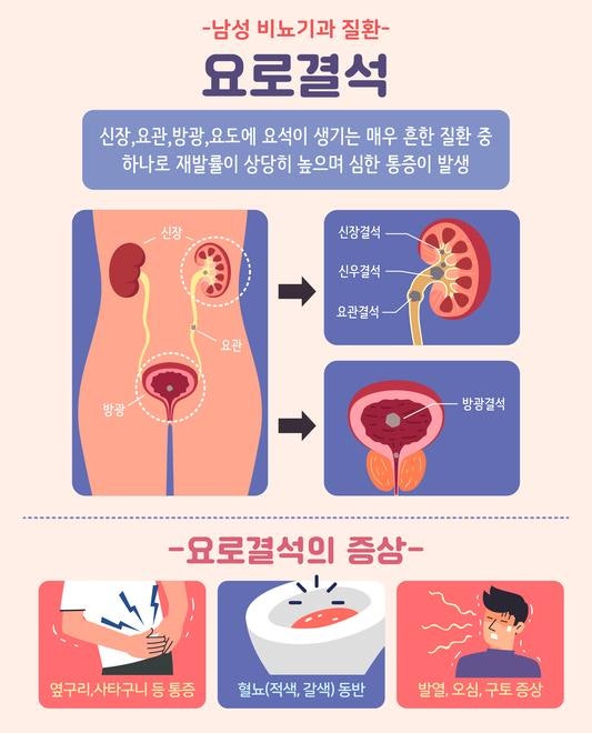 요로결석 식단관리