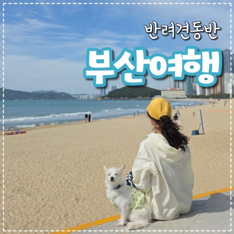 반려견동반 부산여행 강아지동반호텔과 식당카페맛집, 갈 곳 추천