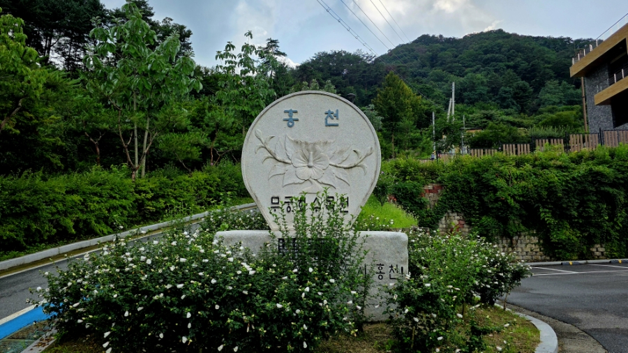 홍천무궁화수목원 사진 3