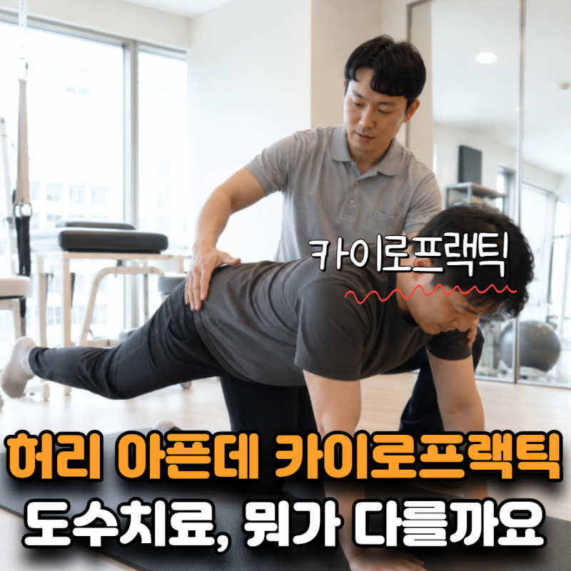 “허리 아픈데 둘 중 뭘 받아야 하죠?” 카이로프랙틱·도수치료 차이