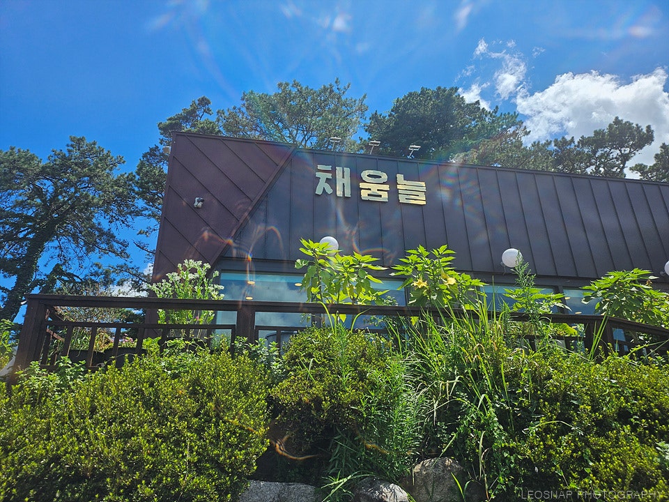 채움늘 사진 2