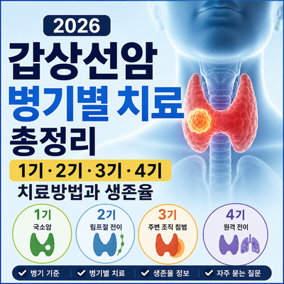 2026 갑상선암 병기별 치료 총정리｜1기·2기·3기·4기 치료방법과 생존율