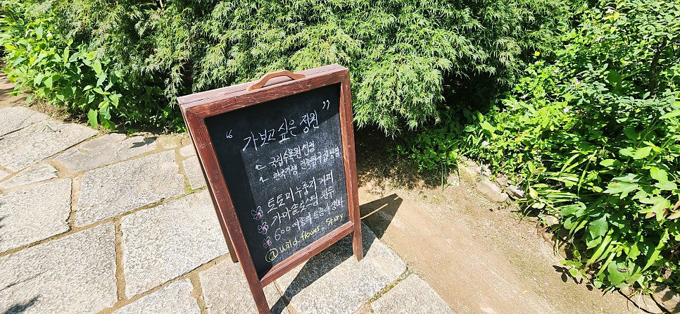 들꽃이야기 사진 3