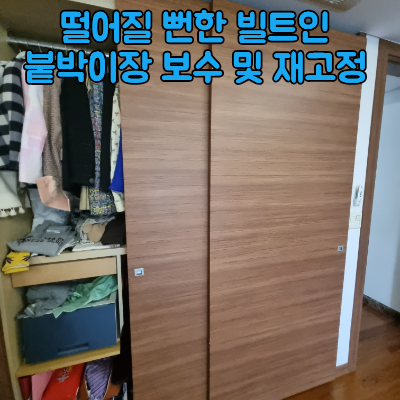 수 사진 1