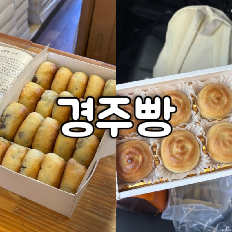 [경주] 80년 전통 최영화 빵/크림치즈 경주빵 황오당
