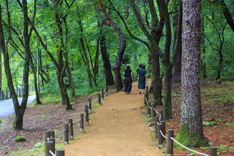 공작산 사진 6