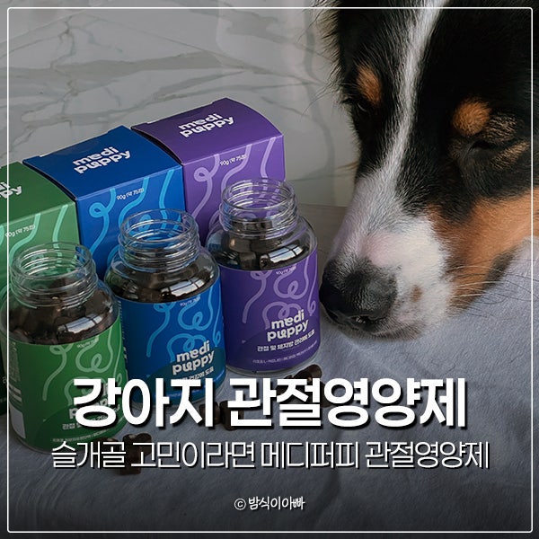 강아지 슬개골 고민이라면 메디퍼피 강아지 관절영양제