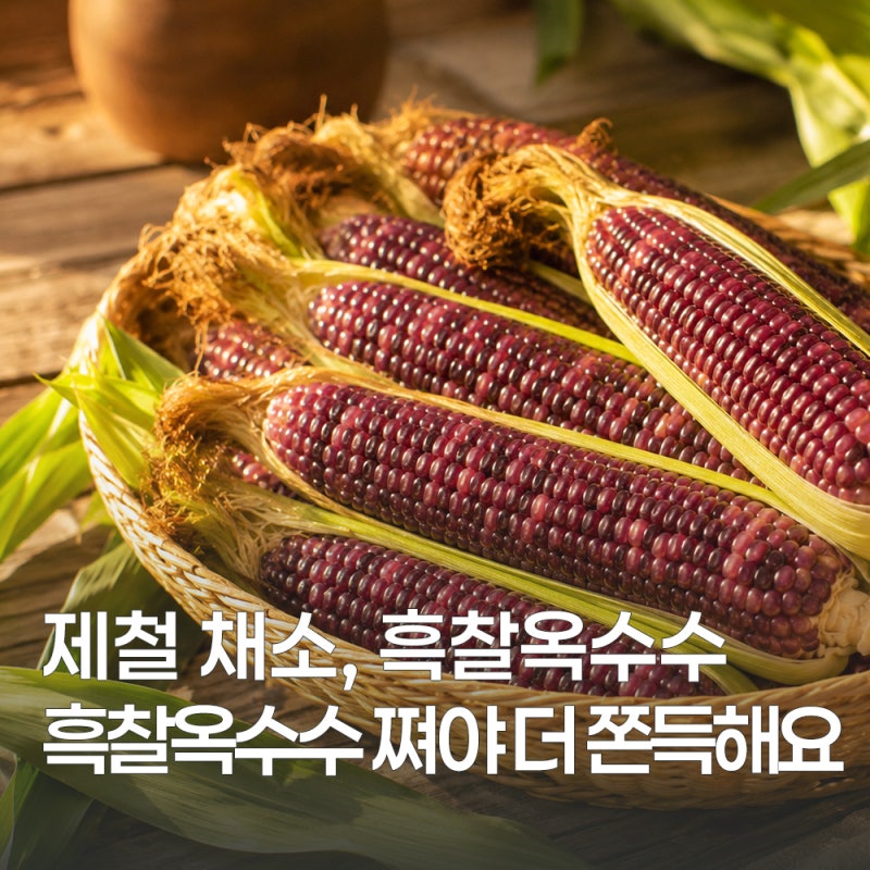 흑찰옥수수 효능과 삶는 법 정리