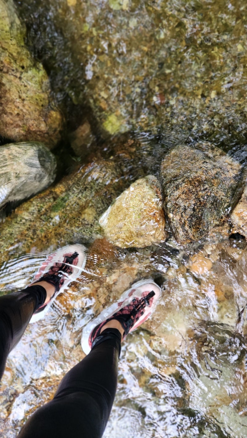 치악산 등산에서 신어본 살로몬 솔앰피비안 후기｜계곡까지 직접 사용해보니