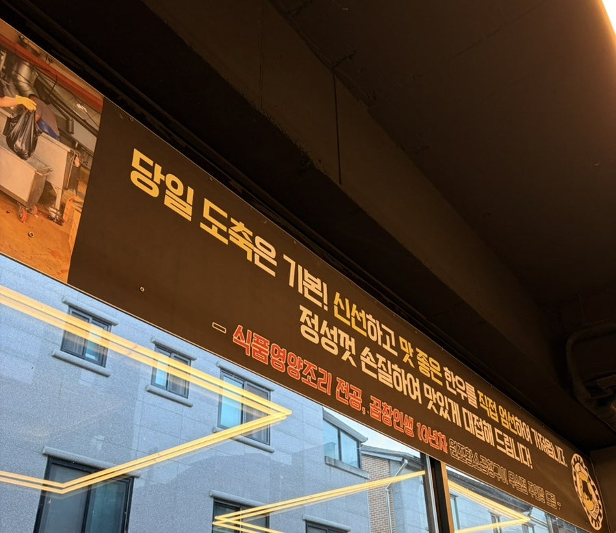 황소 사진 6